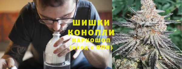прущие грибы Аркадак