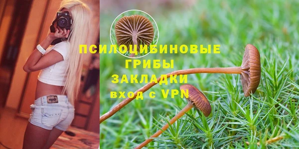 кокс Алзамай