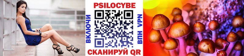 Псилоцибиновые грибы Cubensis  Багратионовск 